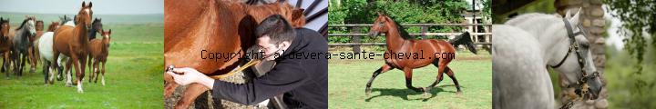 image créez une activité indépendante