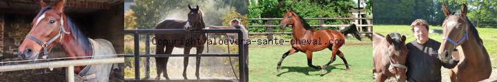 devenez vendeur a domicile et travaillez a votre rythme