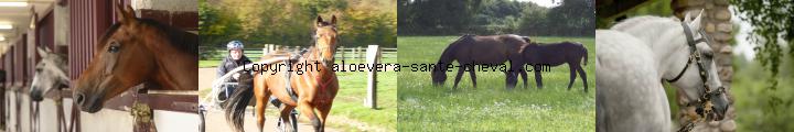 image devenez vendeur a domicile sans stress