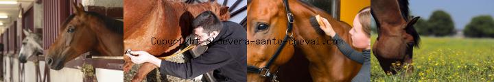 image soyez votre propre patron sans contrainte