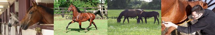 image soyez vendeur a domicile et travaillez a votre rythme