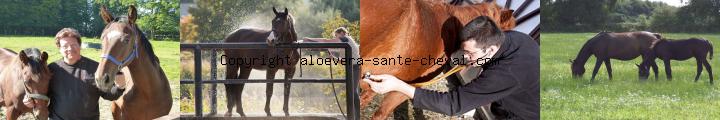 soyez vendeur a domicile et travaillez sans contrainte