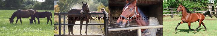 soyez vendeur a domicile et travaillez sans stress