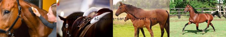 image soyez vendeur a domicile sans contrainte