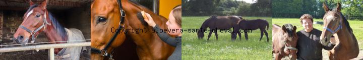 image devenez votre propre patron a votre rythme