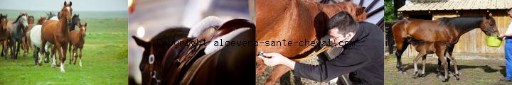 image développez votre affaire a votre rythme sur un produit renouvelable