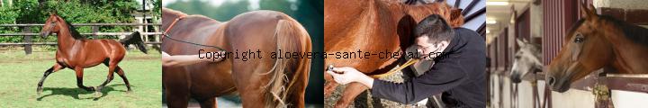 image devenez distributeur aloevera et gagnez de l argent