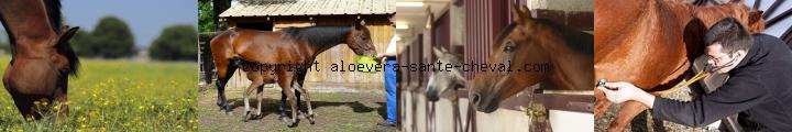 image devenez distributeur aloevera et soyez formé