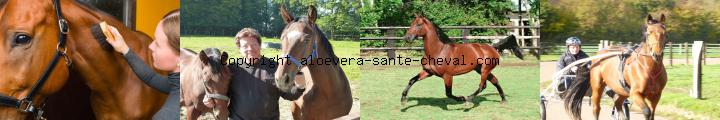 devenez vendeur a domicile et soyez formé