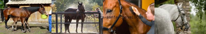 image devenez vendeur a domicile avec un encadrement