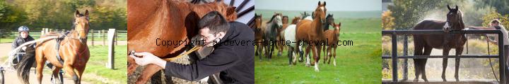 image devenez votre propre patron sans stress